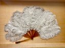 Large Fan In Shadow Box Possibly Ostrich Feathers