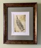 Framed Wall Art ~ Fern Signed By D. Mosley