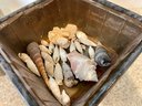 Seashells And 2 Container