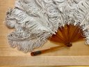 Large Fan In Shadow Box Possibly Ostrich Feathers