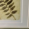Framed Wall Art ~ Fern Signed By D. Mosley