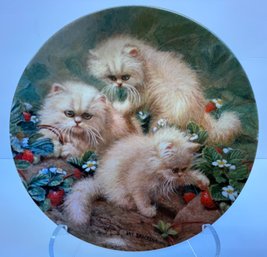 3 Collector Plates Of Cats By Amy Brackenbury's Cat Tales Collection