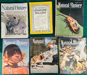 20 Vintage Late 50s Natural History And 4 National Geographic.