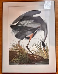 Audubon Great Blue Heron Large Print