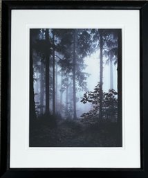Framed Photograph Print Northwest Forest Scene *Local Pick-Up Only*