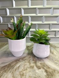Two Artificial Plants Small