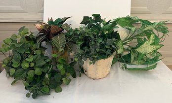 Faux Plants And Pieces