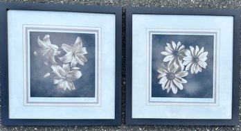 Two Framed Floral Pictures