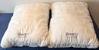 2 Beautyrest Pillows