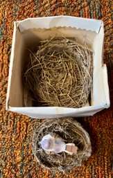 Two Vintage Real Birds Nest