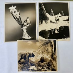 Set Of 3 Still Life  8x10 Black & White Photos