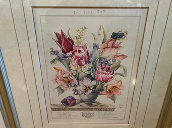 Print Of Tulips
