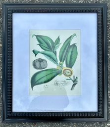 Framed Floral Print