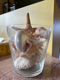 Clear Glass Vase Filled With Large Sea Shells