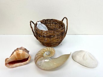 Small Basket With Shells