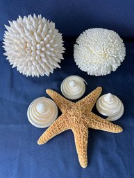 Lot Of 5 Seashell Decorations And A Sponge.