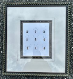 Framed Print Of Beetles