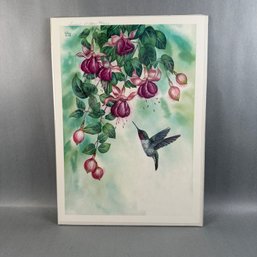 Susan LeBow - Print Of A Hummingbird Feeding