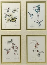 Vintage 1980s James P. Townsend Hummingbird Butterflies Multi Drawings