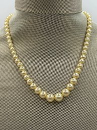 Single Strand Of Culture Pearls With Clasp