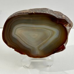 Natural Agate Polished Stone Rock Displayed On Acrylic Stand