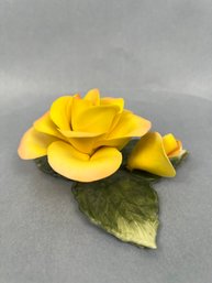 Yellow Porcelain Rose.