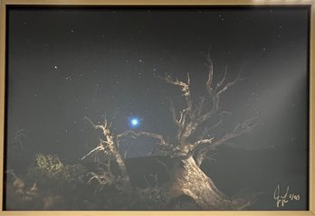 Signed Nighttime Landscape Photograph Framed  *Local Pickup Only*