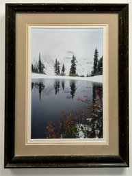 Signed King Wu Nature Photograph Framed *Local Pick Up Only*