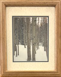 Snowy Forest Photograph Framed *Local Pickup Only*