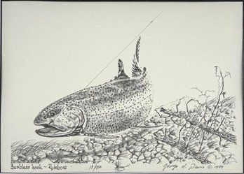 Signed George M. Davis Barbless Hook Rainbow Salmon Etching Framed  *Local Pickup Only*