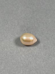Large Freshwater Pearl - Drilled