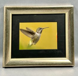 Signed Photo Hummingbird - Tim Boyer -local Pickup
