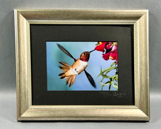 Signed Photograph Hummingbird With Flower - Tim Boyer -local Pickup