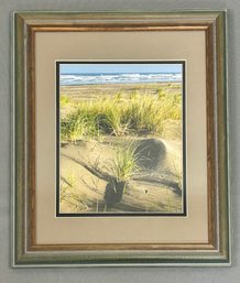 David A. Johnson Beach Grass And Sand Photograph *local Pick Up Only*