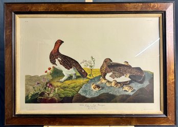 Willow Grous Or Large Ptarmigan Audubon Print -  Large -Local Pickup