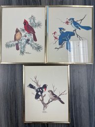 Set Of 3 Sherm Pehrson Framed Prints Of Birds.