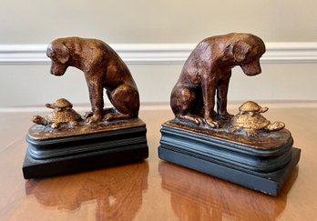 Turtle Under Study By Labrador Bookends