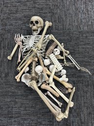 Partial Skeleton With Extra Parts & Heads