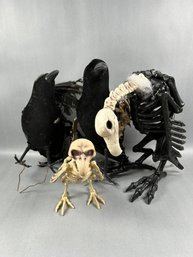 Creepy Ghoulish Birds