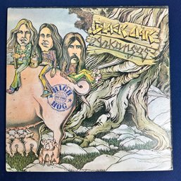 Black Oak Arkansas: High On The Hog