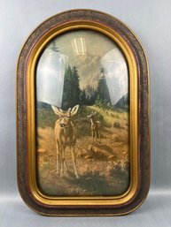 Antique Deer Print With Domed Glass Framed By Chicago Portrait Company