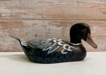 Painted Wood Duck