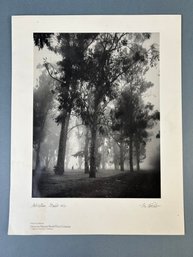 Vintage Leo Holub Photograph Print