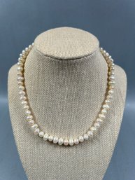 Freshwater Pearl Strand Necklace