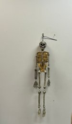 Hanging Skeleton