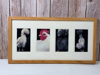 Picture Of 4 Unique Types Of Chickens