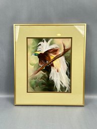 Male Empress Of Germany's Bird Of Paradise, Original Painting By Donna Aintyen