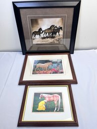 3 Framed Horse Prints.