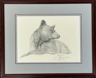 Susan Morrison, Pencil Signed Adult Black Bear Head  Print