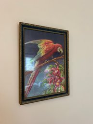 Vintage Parrot Framed Print - Artist: Carlo